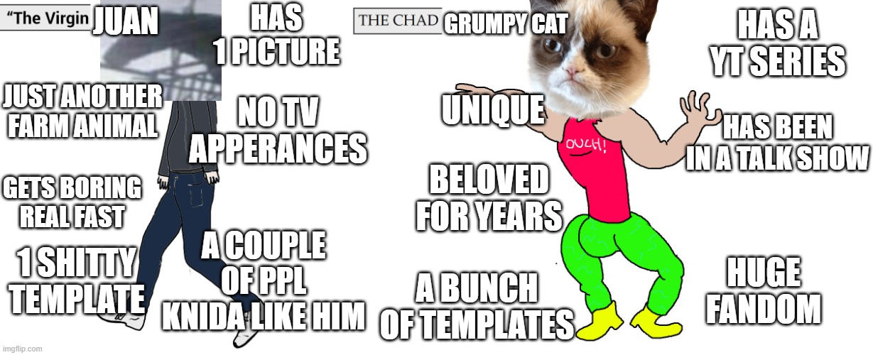 Reject Hörse, return to Cät | GRUMPY CAT; HAS A YT SERIES; HAS 1 PICTURE; JUAN; JUST ANOTHER FARM ANIMAL; NO TV APPERANCES; UNIQUE; HAS BEEN IN A TALK SHOW; BELOVED FOR YEARS; GETS BORING REAL FAST; A COUPLE OF PPL KNIDA LIKE HIM; HUGE FANDOM; 1 SHITTY TEMPLATE; A BUNCH OF TEMPLATES | image tagged in virgin and chad,juan,grumpy cat,vs,return to monke | made w/ Imgflip meme maker