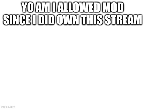 Blank White Template | YO AM I ALLOWED MOD SINCE I DID OWN THIS STREAM | image tagged in blank white template | made w/ Imgflip meme maker