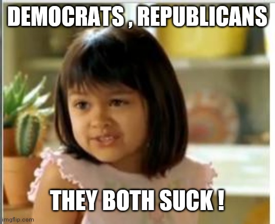 Why not both | DEMOCRATS , REPUBLICANS THEY BOTH SUCK ! | image tagged in why not both | made w/ Imgflip meme maker