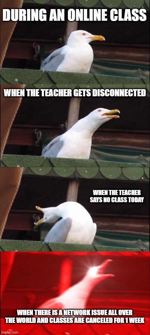 Inhaling Seagull | DURING AN ONLINE CLASS; WHEN THE TEACHER GETS DISCONNECTED; WHEN THE TEACHER SAYS NO CLASS TODAY; WHEN THERE IS A NETWORK ISSUE ALL OVER THE WORLD AND CLASSES ARE CANCELED FOR 1 WEEK | image tagged in memes,inhaling seagull | made w/ Imgflip meme maker