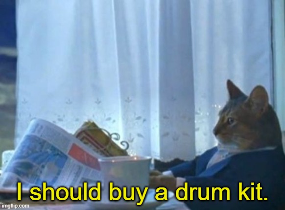 I Should Buy A Boat Cat Meme | I should buy a drum kit. | image tagged in memes,i should buy a boat cat | made w/ Imgflip meme maker
