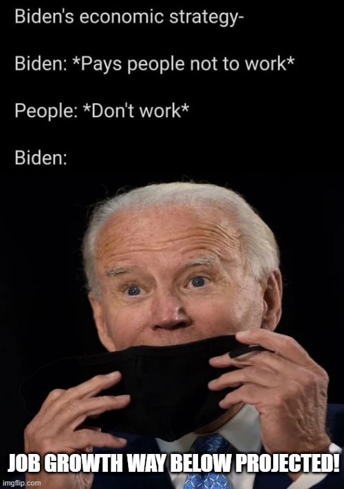 Pay people not to work! Biden Surprised of low job growth! What a Moron! | JOB GROWTH WAY BELOW PROJECTED! | image tagged in moron,joe biden,idiot,stupid liberals | made w/ Imgflip meme maker