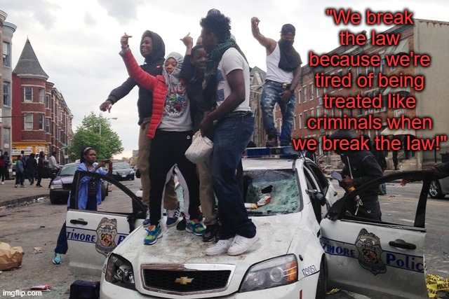 Poor things! :'( | "We break the law because we're tired of being treated like criminals when we break the law!" | image tagged in riot,memes,blm,black lives matter | made w/ Imgflip meme maker