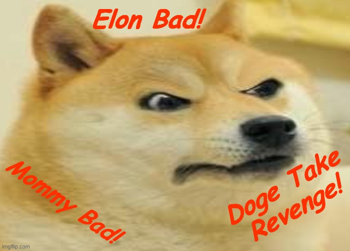 Doge Revenge! | Elon Bad! Mommy Bad! Doge Take Revenge! | image tagged in doge,elonmusk,doge coin,doge snl,elon musk snl,skas wisdom,dogecoin | made w/ Imgflip meme maker