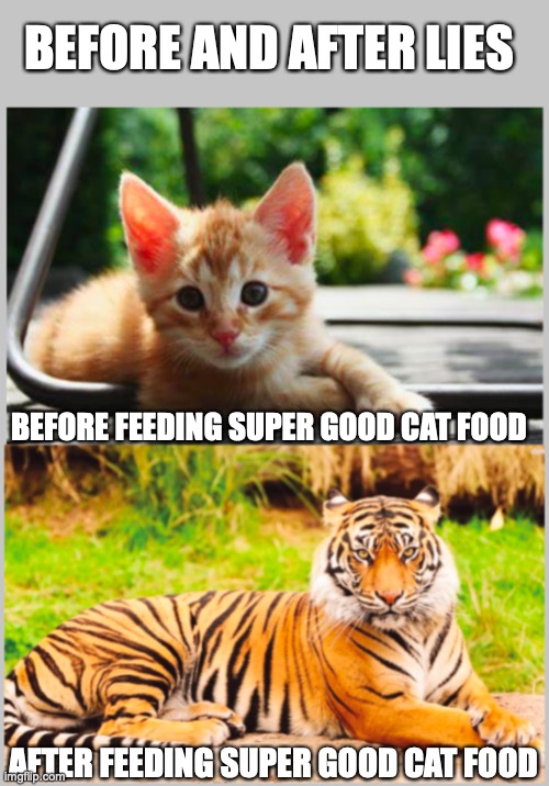 before and after lies | BEFORE AND AFTER LIES; BEFORE FEEDING SUPER GOOD CAT FOOD; AFTER FEEDING SUPER GOOD CAT FOOD | image tagged in cat,tiger | made w/ Imgflip meme maker