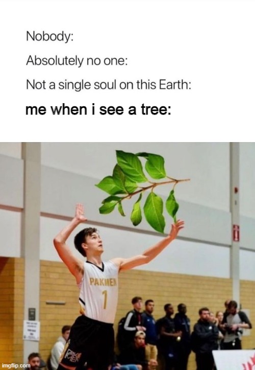 me when i see a tree: | image tagged in nobody absolutely no one | made w/ Imgflip meme maker