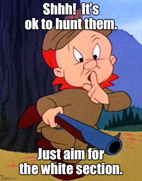 Elmer Fudd | Shhh!  It’s ok to hunt them. Just aim for the white section. | image tagged in elmer fudd | made w/ Imgflip meme maker