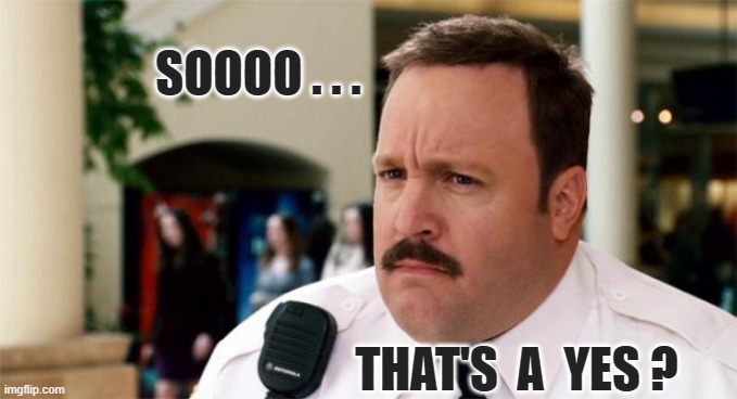 ◄► Reaction: That's a yes? | SOOOO . . . THAT'S  A  YES ? | image tagged in paul blart unsure,comment,reaction | made w/ Imgflip meme maker