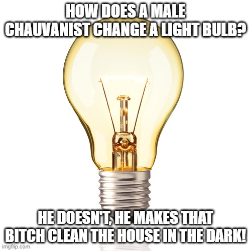 Pig! | HOW DOES A MALE CHAUVANIST CHANGE A LIGHT BULB? HE DOESN'T, HE MAKES THAT BITCH CLEAN THE HOUSE IN THE DARK! | image tagged in light bulb | made w/ Imgflip meme maker
