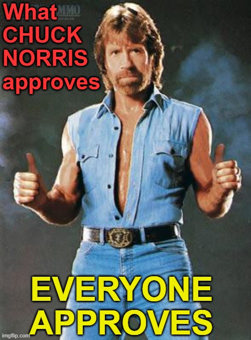 ▬▬ comment specific to comment using other Chuck Norris thumbs up | What       
CHUCK   
NORRIS  
approves EVERYONE
   APPROVES | image tagged in chuck norris approves,comment | made w/ Imgflip meme maker