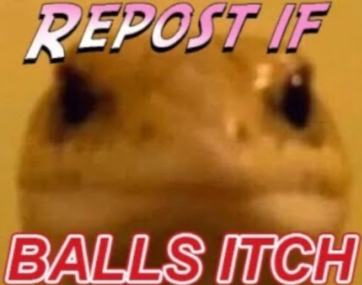 High Quality Repost if balls itch Blank Meme Template