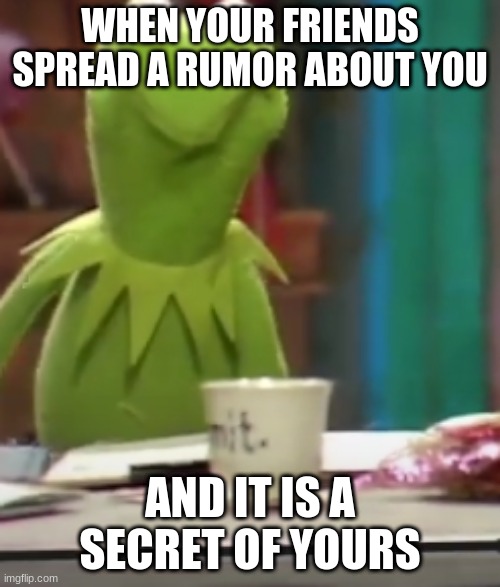 kermit made that face | WHEN YOUR FRIENDS SPREAD A RUMOR ABOUT YOU; AND IT IS A SECRET OF YOURS | image tagged in kermit the frog | made w/ Imgflip meme maker