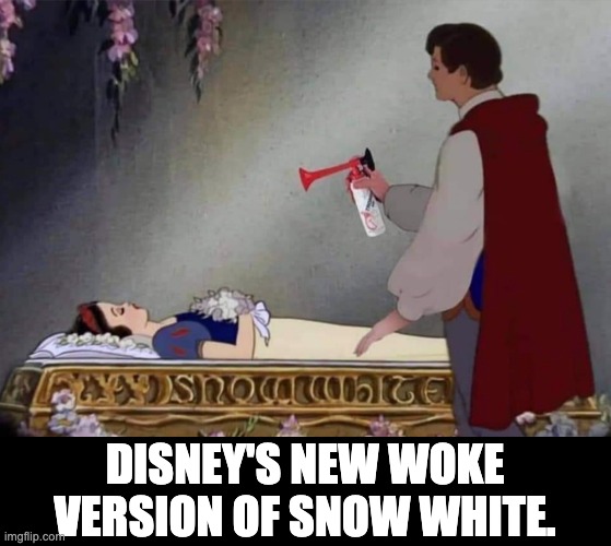 Woke | DISNEY'S NEW WOKE VERSION OF SNOW WHITE. | image tagged in woke | made w/ Imgflip meme maker