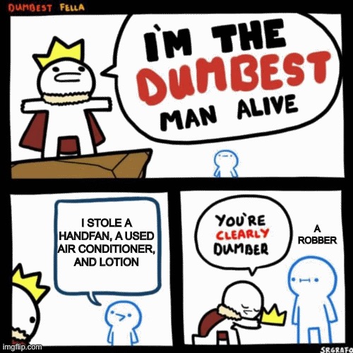 I'm the dumbest man alive | I STOLE A HANDFAN, A USED AIR CONDITIONER, AND LOTION; A ROBBER | image tagged in i'm the dumbest man alive | made w/ Imgflip meme maker