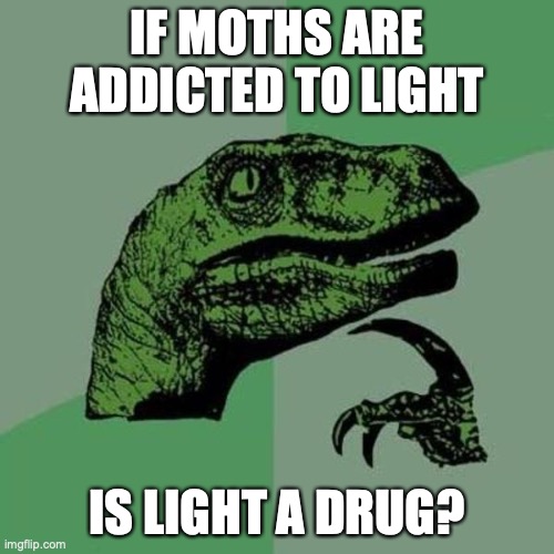 is light a drug? | IF MOTHS ARE ADDICTED TO LIGHT; IS LIGHT A DRUG? | image tagged in raptor | made w/ Imgflip meme maker
