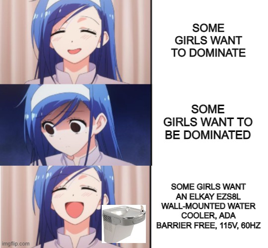Some Girls Want Strange Things | SOME GIRLS WANT TO DOMINATE; SOME GIRLS WANT TO BE DOMINATED; SOME GIRLS WANT AN ELKAY EZS8L WALL-MOUNTED WATER COOLER, ADA BARRIER FREE, 115V, 60HZ | image tagged in anime,girls,memes,funny,jokes,funny memes | made w/ Imgflip meme maker