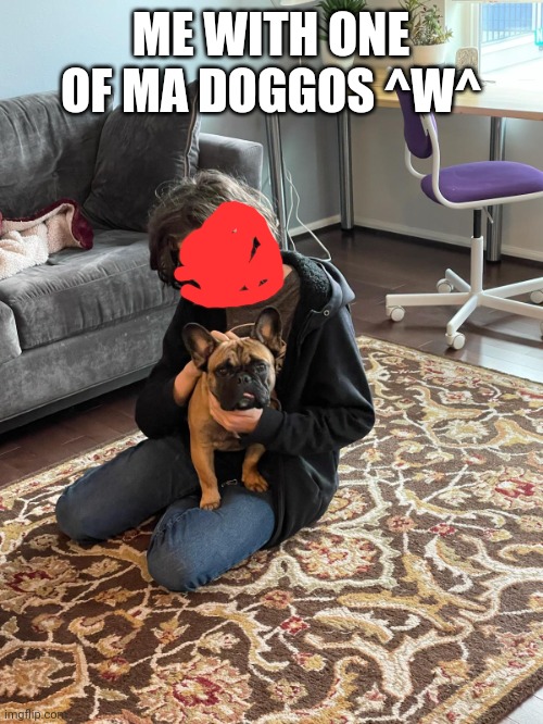 *casually covers face* | ME WITH ONE OF MA DOGGOS ^W^ | made w/ Imgflip meme maker