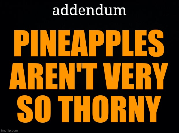 Black background | addendum PINEAPPLES
AREN'T VERY
SO THORNY | image tagged in black background | made w/ Imgflip meme maker