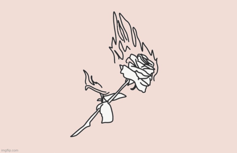 burning rose | image tagged in burning rose | made w/ Imgflip meme maker