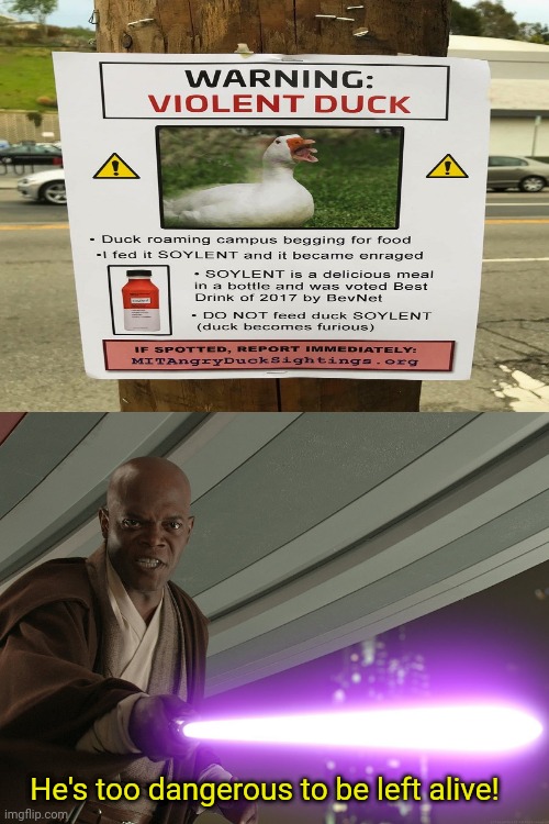 Warning sign: Violent Duck | He's too dangerous to be left alive! | image tagged in he's too dangerous to be left alive,confused screaming,funny,memes,duck,warning sign | made w/ Imgflip meme maker