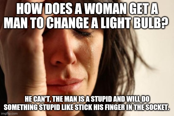 First World Problems Meme | HOW DOES A WOMAN GET A MAN TO CHANGE A LIGHT BULB? HE CAN'T, THE MAN IS A STUPID AND WILL DO SOMETHING STUPID LIKE STICK HIS FINGER IN THE S | image tagged in memes,first world problems | made w/ Imgflip meme maker