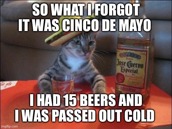 Tequila Cat | SO WHAT I FORGOT IT WAS CINCO DE MAYO; I HAD 15 BEERS AND I WAS PASSED OUT COLD | image tagged in tequila cat | made w/ Imgflip meme maker