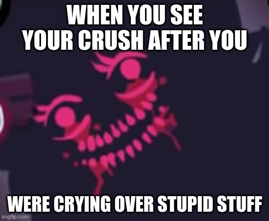 WHEN YOU SEE YOUR CRUSH AFTER YOU; WERE CRYING OVER STUPID STUFF | image tagged in fnf,cursed image | made w/ Imgflip meme maker