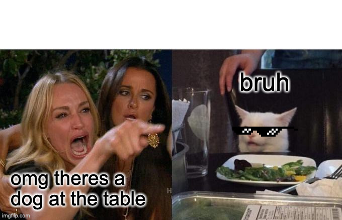 Woman Yelling At Cat Meme | bruh; omg theres a dog at the table | image tagged in memes,woman yelling at cat | made w/ Imgflip meme maker