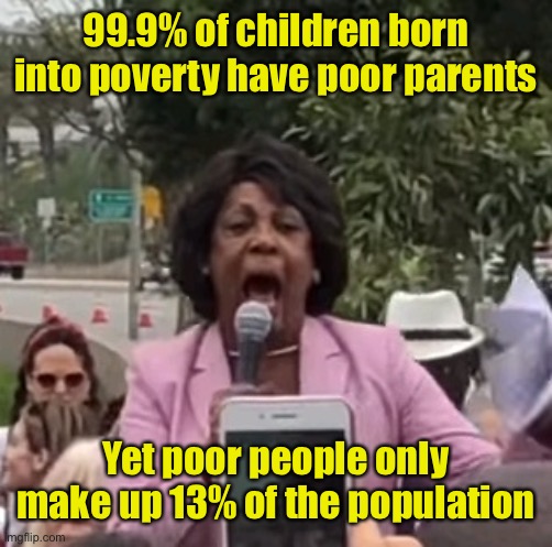 Systemic poverty? | 99.9% of children born into poverty have poor parents; Yet poor people only make up 13% of the population | image tagged in maxine waters,racism,liberal logic | made w/ Imgflip meme maker