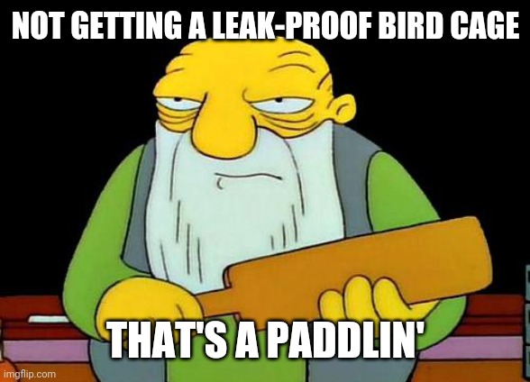 Meme basically says all | NOT GETTING A LEAK-PROOF BIRD CAGE; THAT'S A PADDLIN' | image tagged in memes,that's a paddlin' | made w/ Imgflip meme maker