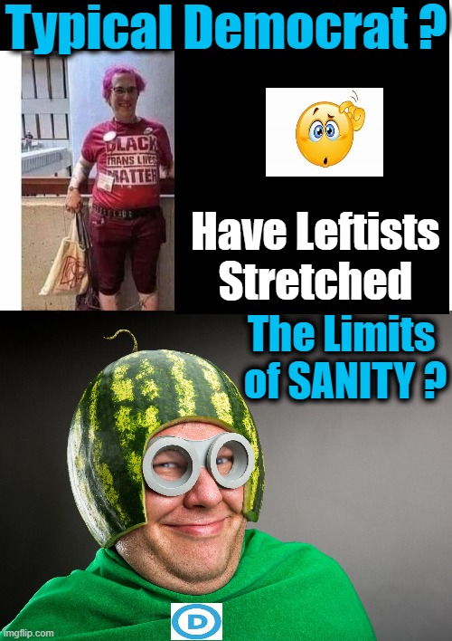 'Logical & Rational' Have Been Replaced With 'Lunacy & Radicalism' | Typical Democrat ? Have Leftists 
Stretched; The Limits 
of SANITY ? | image tagged in political meme,democratic socialism,radical,leftists,liberalism,crazy | made w/ Imgflip meme maker