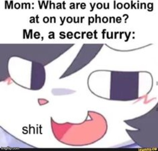 Literally happened to me but didn't get caught | image tagged in furry,memes | made w/ Imgflip meme maker