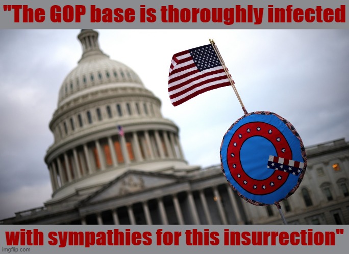 The GOP didn't wash its hands of Jan. 6. They dove into it face-first and then heckled everyone who didn't also take the plunge. | "The GOP base is thoroughly infected; with sympathies for this insurrection" | image tagged in gop capitol hill qanon,qanon,capitol hill,riot | made w/ Imgflip meme maker