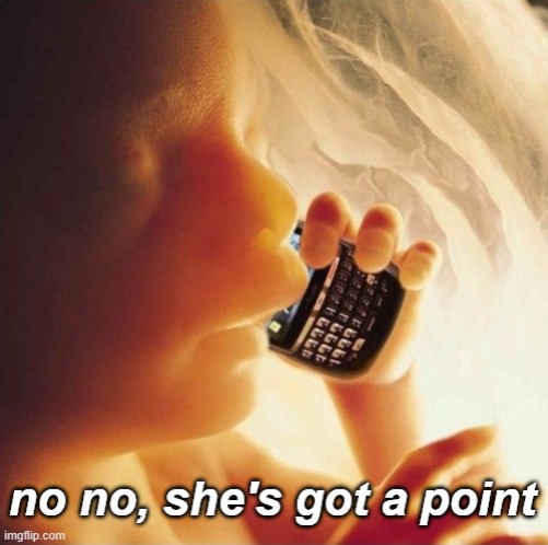 Fetus phone no no she's got a point | image tagged in fetus phone no no she's got a point | made w/ Imgflip meme maker