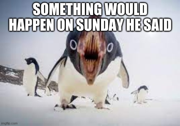 or she, i forgot who said it | SOMETHING WOULD HAPPEN ON SUNDAY HE SAID | image tagged in you have angered pingu | made w/ Imgflip meme maker