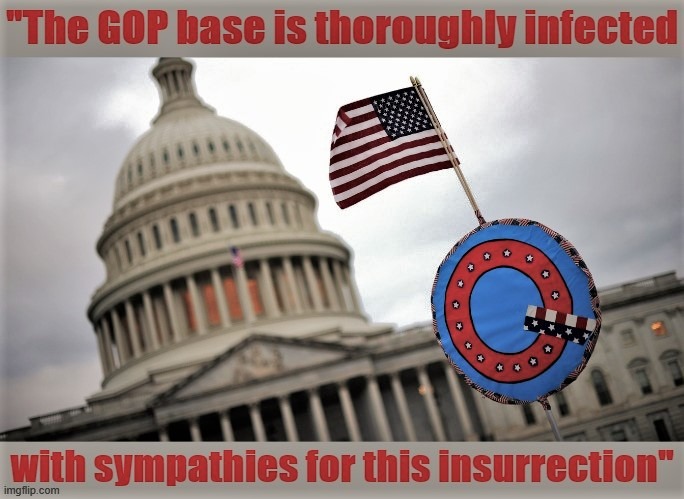 The GOP didn't wash its hands of Jan. 6. They dove into it face-first and then heckled everyone who didn't also take the plunge. | image tagged in gop,republican party,republicans,capitol hill,riots,riot | made w/ Imgflip meme maker