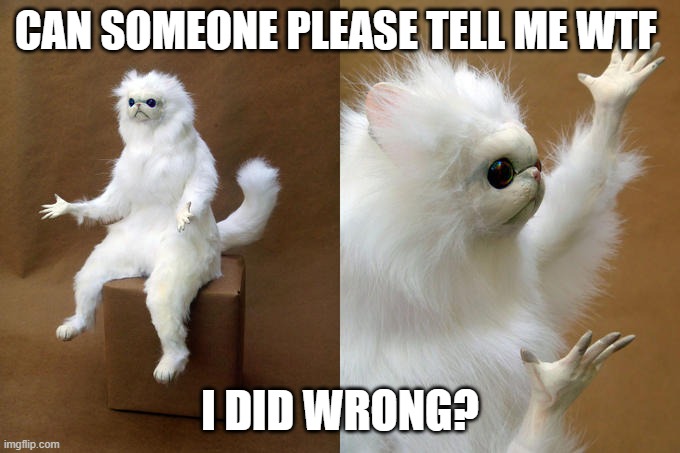 Persian Cat Room Guardian | CAN SOMEONE PLEASE TELL ME WTF; I DID WRONG? | image tagged in memes,persian cat room guardian | made w/ Imgflip meme maker