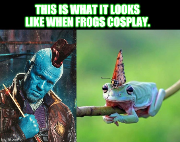 THIS IS WHAT IT LOOKS LIKE WHEN FROGS COSPLAY. | image tagged in a black blank,guardians of the galaxy yondu and arrow,frog wearing a butterfly on head | made w/ Imgflip meme maker