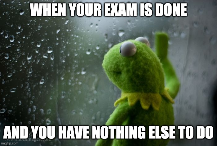 kermit window | WHEN YOUR EXAM IS DONE; AND YOU HAVE NOTHING ELSE TO DO | image tagged in kermit window | made w/ Imgflip meme maker
