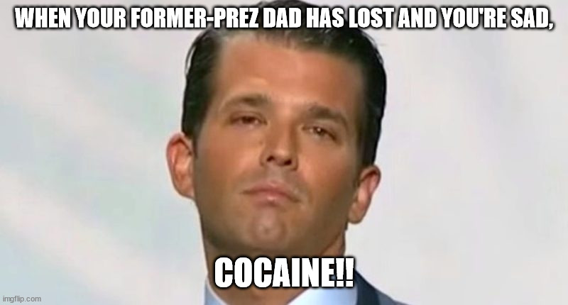 donald trump jr | WHEN YOUR FORMER-PREZ DAD HAS LOST AND YOU'RE SAD, COCAINE!! | image tagged in donald trump jr | made w/ Imgflip meme maker