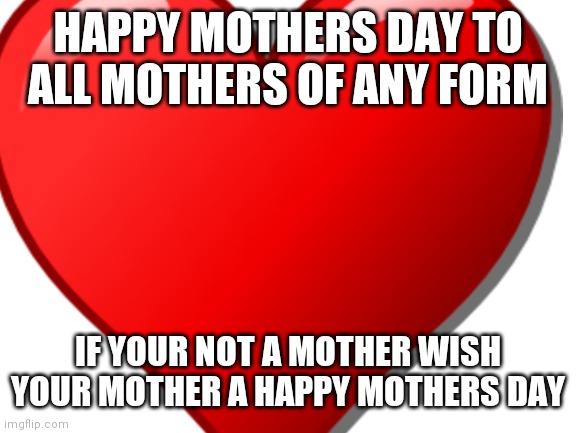Happy mother day! | HAPPY MOTHERS DAY TO ALL MOTHERS OF ANY FORM; IF YOUR NOT A MOTHER WISH YOUR MOTHER A HAPPY MOTHERS DAY | image tagged in mothers day,holiday | made w/ Imgflip meme maker