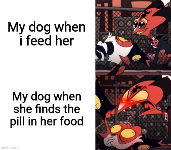 Dog jokes | My dog when i feed her; My dog when she finds the pill in her food | image tagged in happy blitz angry blitz,dogs,food,pills,middle school | made w/ Imgflip meme maker