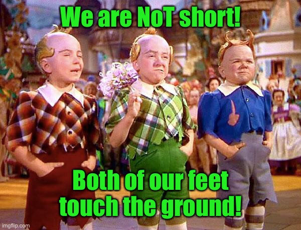 Munchkins | We are NoT short! Both of our feet touch the ground! | image tagged in munchkins | made w/ Imgflip meme maker