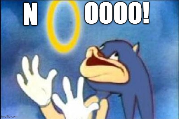 Sonic derp | N OOOO! | image tagged in sonic derp | made w/ Imgflip meme maker