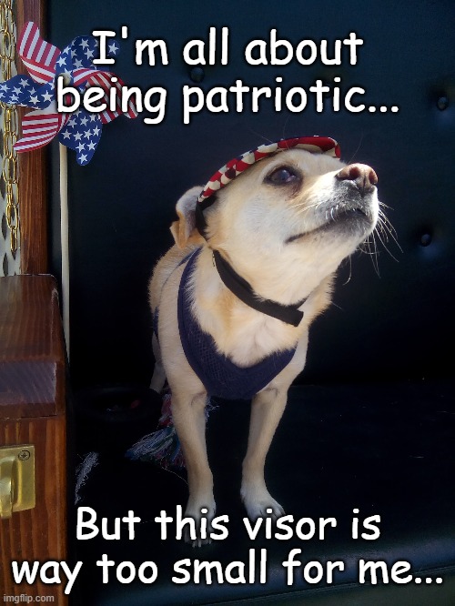 The visor is too small, dang it!1! | I'm all about being patriotic... But this visor is way too small for me... | image tagged in murphy,patriotic,visor,too small | made w/ Imgflip meme maker