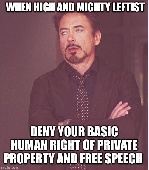 Face You Make Robert Downey Jr Meme | WHEN HIGH AND MIGHTY LEFTIST DENY YOUR BASIC HUMAN RIGHT OF PRIVATE PROPERTY AND FREE SPEECH | image tagged in memes,face you make robert downey jr | made w/ Imgflip meme maker
