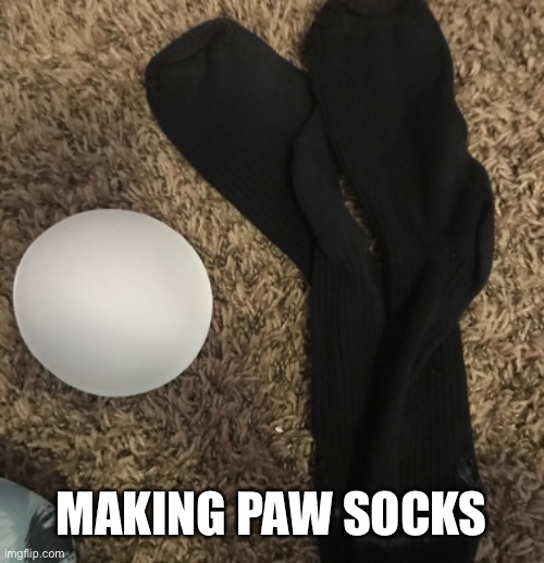Wish me luck! | MAKING PAW SOCKS | image tagged in furry | made w/ Imgflip meme maker