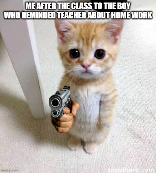 You chose to say death | ME AFTER THE CLASS TO THE BOY WHO REMINDED TEACHER ABOUT HOME WORK | image tagged in memes,cute cat | made w/ Imgflip meme maker