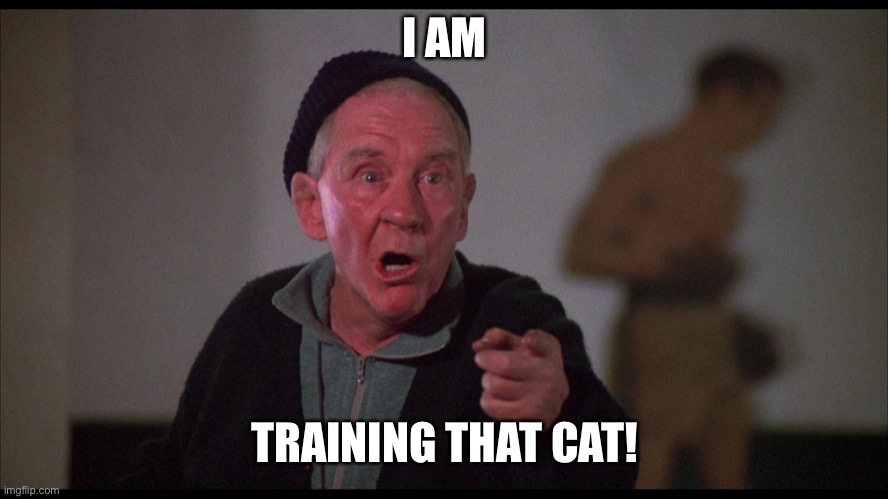 Rocky Mickey | I AM TRAINING THAT CAT! | image tagged in rocky mickey | made w/ Imgflip meme maker