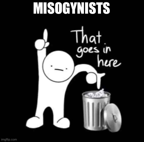 that goes in here | MISOGYNISTS | image tagged in that goes in here | made w/ Imgflip meme maker